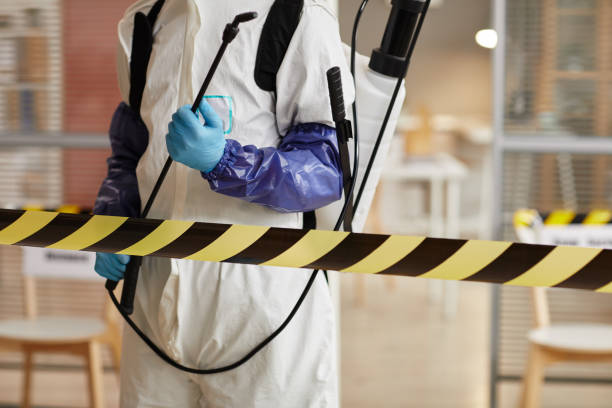 Professional Odor Removal technician working in Hackett, AR