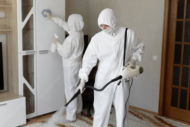 24/7 Emergency Odor Removal experts in Hackett, AR