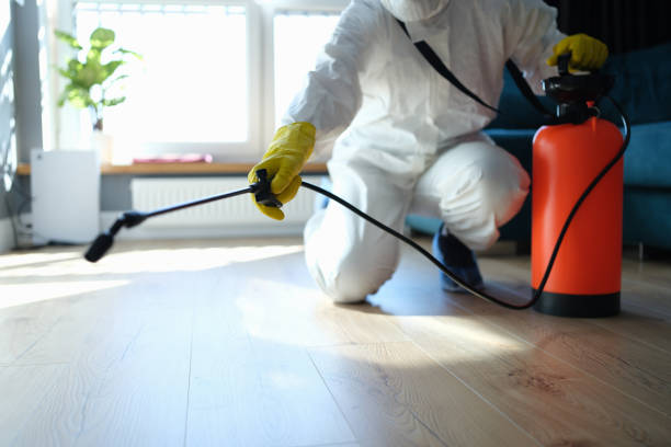 Reliable Odor Removal contractor in Hackett, AR by Trauma Clean Pros